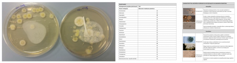 Laboratoryjne oznaczenia grzybów pleśniowych